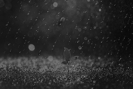 達人IP孵化與運營